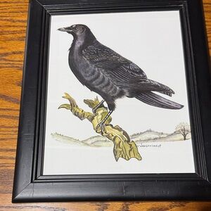 Black Framed Bird Colored Pencil Print